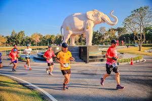 BIB: 
                            <button type="button" onclick="openModal(26186523)" class="btn btn-primary btn-sm float-right btn-popup" data-toggle="modal" data-target=".modal-high-quality">
                        <i class="fas fa-shopping-cart"></i> Add to Cart
                    </button>
                                            <button type="button" onclick="isThisMe(26186523, true)" class="btn btn-success btn-sm float-right btn-popup btn-isme hidden" data-toggle="tooltip" data-placement="bottom" title="นี่คือรูปของคุณใช่ไหม คลิกที่นี่เพื่อเอาเข้าอัลบั้ม">
                        <i class="fas fa-plus"></i> Add to album
                    </button>
                    <button type="button" onclick="isThisMe(26186523, false)" class="btn btn-warning btn-sm float-right btn-popup btn-isnotme hidden">
                        <i class="fas fa-ban"></i> Remove from album
                    </button>