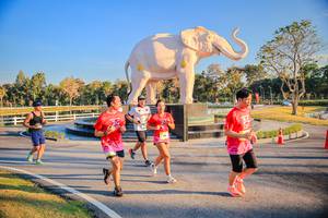 BIB: 
                            <button type="button" onclick="openModal(26186643)" class="btn btn-primary btn-sm float-right btn-popup" data-toggle="modal" data-target=".modal-high-quality">
                        <i class="fas fa-shopping-cart"></i> Add to Cart
                    </button>
                                            <button type="button" onclick="isThisMe(26186643, true)" class="btn btn-success btn-sm float-right btn-popup btn-isme hidden" data-toggle="tooltip" data-placement="bottom" title="นี่คือรูปของคุณใช่ไหม คลิกที่นี่เพื่อเอาเข้าอัลบั้ม">
                        <i class="fas fa-plus"></i> Add to album
                    </button>
                    <button type="button" onclick="isThisMe(26186643, false)" class="btn btn-warning btn-sm float-right btn-popup btn-isnotme hidden">
                        <i class="fas fa-ban"></i> Remove from album
                    </button>