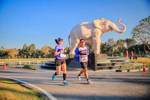 BIB: 
                            <button type="button" onclick="openModal(26186451)" class="btn btn-primary btn-sm float-right btn-popup" data-toggle="modal" data-target=".modal-high-quality">
                        <i class="fas fa-shopping-cart"></i> Add to Cart
                    </button>
                                            <button type="button" onclick="isThisMe(26186451, true)" class="btn btn-success btn-sm float-right btn-popup btn-isme hidden" data-toggle="tooltip" data-placement="bottom" title="นี่คือรูปของคุณใช่ไหม คลิกที่นี่เพื่อเอาเข้าอัลบั้ม">
                        <i class="fas fa-plus"></i> Add to album
                    </button>
                    <button type="button" onclick="isThisMe(26186451, false)" class="btn btn-warning btn-sm float-right btn-popup btn-isnotme hidden">
                        <i class="fas fa-ban"></i> Remove from album
                    </button>