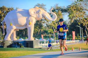 BIB: 
                            <button type="button" onclick="openModal(26183502)" class="btn btn-primary btn-sm float-right btn-popup" data-toggle="modal" data-target=".modal-high-quality">
                        <i class="fas fa-shopping-cart"></i> Add to Cart
                    </button>
                                            <button type="button" onclick="isThisMe(26183502, true)" class="btn btn-success btn-sm float-right btn-popup btn-isme hidden" data-toggle="tooltip" data-placement="bottom" title="นี่คือรูปของคุณใช่ไหม คลิกที่นี่เพื่อเอาเข้าอัลบั้ม">
                        <i class="fas fa-plus"></i> Add to album
                    </button>
                    <button type="button" onclick="isThisMe(26183502, false)" class="btn btn-warning btn-sm float-right btn-popup btn-isnotme hidden">
                        <i class="fas fa-ban"></i> Remove from album
                    </button>