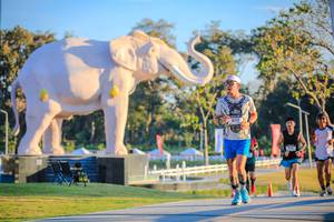 BIB: 
                            <button type="button" onclick="openModal(26183471)" class="btn btn-primary btn-sm float-right btn-popup" data-toggle="modal" data-target=".modal-high-quality">
                        <i class="fas fa-shopping-cart"></i> Add to Cart
                    </button>
                                            <button type="button" onclick="isThisMe(26183471, true)" class="btn btn-success btn-sm float-right btn-popup btn-isme hidden" data-toggle="tooltip" data-placement="bottom" title="นี่คือรูปของคุณใช่ไหม คลิกที่นี่เพื่อเอาเข้าอัลบั้ม">
                        <i class="fas fa-plus"></i> Add to album
                    </button>
                    <button type="button" onclick="isThisMe(26183471, false)" class="btn btn-warning btn-sm float-right btn-popup btn-isnotme hidden">
                        <i class="fas fa-ban"></i> Remove from album
                    </button>