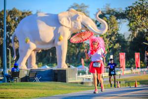 BIB: 
                            <button type="button" onclick="openModal(26183723)" class="btn btn-primary btn-sm float-right btn-popup" data-toggle="modal" data-target=".modal-high-quality">
                        <i class="fas fa-shopping-cart"></i> Add to Cart
                    </button>
                                            <button type="button" onclick="isThisMe(26183723, true)" class="btn btn-success btn-sm float-right btn-popup btn-isme hidden" data-toggle="tooltip" data-placement="bottom" title="นี่คือรูปของคุณใช่ไหม คลิกที่นี่เพื่อเอาเข้าอัลบั้ม">
                        <i class="fas fa-plus"></i> Add to album
                    </button>
                    <button type="button" onclick="isThisMe(26183723, false)" class="btn btn-warning btn-sm float-right btn-popup btn-isnotme hidden">
                        <i class="fas fa-ban"></i> Remove from album
                    </button>