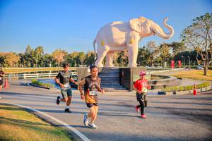 BIB: 
                            <button type="button" onclick="openModal(26186581)" class="btn btn-primary btn-sm float-right btn-popup" data-toggle="modal" data-target=".modal-high-quality">
                        <i class="fas fa-shopping-cart"></i> Add to Cart
                    </button>
                                            <button type="button" onclick="isThisMe(26186581, true)" class="btn btn-success btn-sm float-right btn-popup btn-isme hidden" data-toggle="tooltip" data-placement="bottom" title="นี่คือรูปของคุณใช่ไหม คลิกที่นี่เพื่อเอาเข้าอัลบั้ม">
                        <i class="fas fa-plus"></i> Add to album
                    </button>
                    <button type="button" onclick="isThisMe(26186581, false)" class="btn btn-warning btn-sm float-right btn-popup btn-isnotme hidden">
                        <i class="fas fa-ban"></i> Remove from album
                    </button>