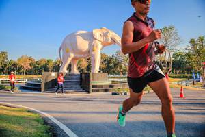 BIB: 
                            <button type="button" onclick="openModal(26186357)" class="btn btn-primary btn-sm float-right btn-popup" data-toggle="modal" data-target=".modal-high-quality">
                        <i class="fas fa-shopping-cart"></i> Add to Cart
                    </button>
                                            <button type="button" onclick="isThisMe(26186357, true)" class="btn btn-success btn-sm float-right btn-popup btn-isme hidden" data-toggle="tooltip" data-placement="bottom" title="นี่คือรูปของคุณใช่ไหม คลิกที่นี่เพื่อเอาเข้าอัลบั้ม">
                        <i class="fas fa-plus"></i> Add to album
                    </button>
                    <button type="button" onclick="isThisMe(26186357, false)" class="btn btn-warning btn-sm float-right btn-popup btn-isnotme hidden">
                        <i class="fas fa-ban"></i> Remove from album
                    </button>