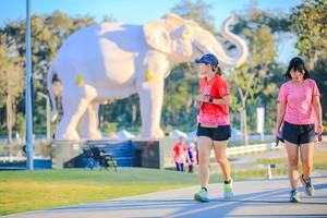 BIB: 
                            <button type="button" onclick="openModal(26183404)" class="btn btn-primary btn-sm float-right btn-popup" data-toggle="modal" data-target=".modal-high-quality">
                        <i class="fas fa-shopping-cart"></i> Add to Cart
                    </button>
                                            <button type="button" onclick="isThisMe(26183404, true)" class="btn btn-success btn-sm float-right btn-popup btn-isme hidden" data-toggle="tooltip" data-placement="bottom" title="นี่คือรูปของคุณใช่ไหม คลิกที่นี่เพื่อเอาเข้าอัลบั้ม">
                        <i class="fas fa-plus"></i> Add to album
                    </button>
                    <button type="button" onclick="isThisMe(26183404, false)" class="btn btn-warning btn-sm float-right btn-popup btn-isnotme hidden">
                        <i class="fas fa-ban"></i> Remove from album
                    </button>