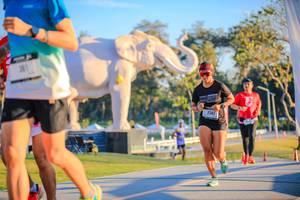 BIB: 
                            <button type="button" onclick="openModal(26183583)" class="btn btn-primary btn-sm float-right btn-popup" data-toggle="modal" data-target=".modal-high-quality">
                        <i class="fas fa-shopping-cart"></i> Add to Cart
                    </button>
                                            <button type="button" onclick="isThisMe(26183583, true)" class="btn btn-success btn-sm float-right btn-popup btn-isme hidden" data-toggle="tooltip" data-placement="bottom" title="นี่คือรูปของคุณใช่ไหม คลิกที่นี่เพื่อเอาเข้าอัลบั้ม">
                        <i class="fas fa-plus"></i> Add to album
                    </button>
                    <button type="button" onclick="isThisMe(26183583, false)" class="btn btn-warning btn-sm float-right btn-popup btn-isnotme hidden">
                        <i class="fas fa-ban"></i> Remove from album
                    </button>