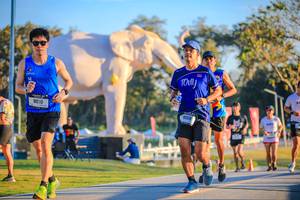 BIB: 
                            <button type="button" onclick="openModal(26183655)" class="btn btn-primary btn-sm float-right btn-popup" data-toggle="modal" data-target=".modal-high-quality">
                        <i class="fas fa-shopping-cart"></i> Add to Cart
                    </button>
                                            <button type="button" onclick="isThisMe(26183655, true)" class="btn btn-success btn-sm float-right btn-popup btn-isme hidden" data-toggle="tooltip" data-placement="bottom" title="นี่คือรูปของคุณใช่ไหม คลิกที่นี่เพื่อเอาเข้าอัลบั้ม">
                        <i class="fas fa-plus"></i> Add to album
                    </button>
                    <button type="button" onclick="isThisMe(26183655, false)" class="btn btn-warning btn-sm float-right btn-popup btn-isnotme hidden">
                        <i class="fas fa-ban"></i> Remove from album
                    </button>