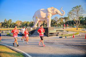 BIB: 
                            <button type="button" onclick="openModal(26186641)" class="btn btn-primary btn-sm float-right btn-popup" data-toggle="modal" data-target=".modal-high-quality">
                        <i class="fas fa-shopping-cart"></i> Add to Cart
                    </button>
                                            <button type="button" onclick="isThisMe(26186641, true)" class="btn btn-success btn-sm float-right btn-popup btn-isme hidden" data-toggle="tooltip" data-placement="bottom" title="นี่คือรูปของคุณใช่ไหม คลิกที่นี่เพื่อเอาเข้าอัลบั้ม">
                        <i class="fas fa-plus"></i> Add to album
                    </button>
                    <button type="button" onclick="isThisMe(26186641, false)" class="btn btn-warning btn-sm float-right btn-popup btn-isnotme hidden">
                        <i class="fas fa-ban"></i> Remove from album
                    </button>