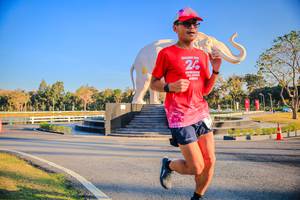 BIB: 
                            <button type="button" onclick="openModal(26186441)" class="btn btn-primary btn-sm float-right btn-popup" data-toggle="modal" data-target=".modal-high-quality">
                        <i class="fas fa-shopping-cart"></i> Add to Cart
                    </button>
                                            <button type="button" onclick="isThisMe(26186441, true)" class="btn btn-success btn-sm float-right btn-popup btn-isme hidden" data-toggle="tooltip" data-placement="bottom" title="นี่คือรูปของคุณใช่ไหม คลิกที่นี่เพื่อเอาเข้าอัลบั้ม">
                        <i class="fas fa-plus"></i> Add to album
                    </button>
                    <button type="button" onclick="isThisMe(26186441, false)" class="btn btn-warning btn-sm float-right btn-popup btn-isnotme hidden">
                        <i class="fas fa-ban"></i> Remove from album
                    </button>