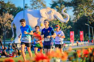 BIB: 
                            <button type="button" onclick="openModal(26183980)" class="btn btn-primary btn-sm float-right btn-popup" data-toggle="modal" data-target=".modal-high-quality">
                        <i class="fas fa-shopping-cart"></i> Add to Cart
                    </button>
                                            <button type="button" onclick="isThisMe(26183980, true)" class="btn btn-success btn-sm float-right btn-popup btn-isme hidden" data-toggle="tooltip" data-placement="bottom" title="นี่คือรูปของคุณใช่ไหม คลิกที่นี่เพื่อเอาเข้าอัลบั้ม">
                        <i class="fas fa-plus"></i> Add to album
                    </button>
                    <button type="button" onclick="isThisMe(26183980, false)" class="btn btn-warning btn-sm float-right btn-popup btn-isnotme hidden">
                        <i class="fas fa-ban"></i> Remove from album
                    </button>