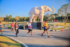 BIB: 
                            <button type="button" onclick="openModal(26186574)" class="btn btn-primary btn-sm float-right btn-popup" data-toggle="modal" data-target=".modal-high-quality">
                        <i class="fas fa-shopping-cart"></i> Add to Cart
                    </button>
                                            <button type="button" onclick="isThisMe(26186574, true)" class="btn btn-success btn-sm float-right btn-popup btn-isme hidden" data-toggle="tooltip" data-placement="bottom" title="นี่คือรูปของคุณใช่ไหม คลิกที่นี่เพื่อเอาเข้าอัลบั้ม">
                        <i class="fas fa-plus"></i> Add to album
                    </button>
                    <button type="button" onclick="isThisMe(26186574, false)" class="btn btn-warning btn-sm float-right btn-popup btn-isnotme hidden">
                        <i class="fas fa-ban"></i> Remove from album
                    </button>