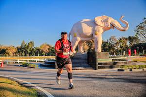 BIB: 
                            <button type="button" onclick="openModal(26186417)" class="btn btn-primary btn-sm float-right btn-popup" data-toggle="modal" data-target=".modal-high-quality">
                        <i class="fas fa-shopping-cart"></i> Add to Cart
                    </button>
                                            <button type="button" onclick="isThisMe(26186417, true)" class="btn btn-success btn-sm float-right btn-popup btn-isme hidden" data-toggle="tooltip" data-placement="bottom" title="นี่คือรูปของคุณใช่ไหม คลิกที่นี่เพื่อเอาเข้าอัลบั้ม">
                        <i class="fas fa-plus"></i> Add to album
                    </button>
                    <button type="button" onclick="isThisMe(26186417, false)" class="btn btn-warning btn-sm float-right btn-popup btn-isnotme hidden">
                        <i class="fas fa-ban"></i> Remove from album
                    </button>