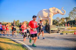 BIB: 
                            <button type="button" onclick="openModal(26186493)" class="btn btn-primary btn-sm float-right btn-popup" data-toggle="modal" data-target=".modal-high-quality">
                        <i class="fas fa-shopping-cart"></i> Add to Cart
                    </button>
                                            <button type="button" onclick="isThisMe(26186493, true)" class="btn btn-success btn-sm float-right btn-popup btn-isme hidden" data-toggle="tooltip" data-placement="bottom" title="นี่คือรูปของคุณใช่ไหม คลิกที่นี่เพื่อเอาเข้าอัลบั้ม">
                        <i class="fas fa-plus"></i> Add to album
                    </button>
                    <button type="button" onclick="isThisMe(26186493, false)" class="btn btn-warning btn-sm float-right btn-popup btn-isnotme hidden">
                        <i class="fas fa-ban"></i> Remove from album
                    </button>