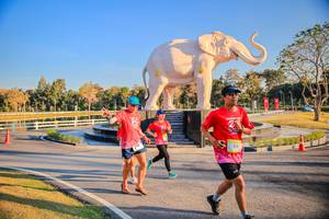 BIB: 
                            <button type="button" onclick="openModal(26186597)" class="btn btn-primary btn-sm float-right btn-popup" data-toggle="modal" data-target=".modal-high-quality">
                        <i class="fas fa-shopping-cart"></i> Add to Cart
                    </button>
                                            <button type="button" onclick="isThisMe(26186597, true)" class="btn btn-success btn-sm float-right btn-popup btn-isme hidden" data-toggle="tooltip" data-placement="bottom" title="นี่คือรูปของคุณใช่ไหม คลิกที่นี่เพื่อเอาเข้าอัลบั้ม">
                        <i class="fas fa-plus"></i> Add to album
                    </button>
                    <button type="button" onclick="isThisMe(26186597, false)" class="btn btn-warning btn-sm float-right btn-popup btn-isnotme hidden">
                        <i class="fas fa-ban"></i> Remove from album
                    </button>