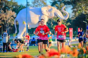 BIB: 
                            <button type="button" onclick="openModal(26184015)" class="btn btn-primary btn-sm float-right btn-popup" data-toggle="modal" data-target=".modal-high-quality">
                        <i class="fas fa-shopping-cart"></i> Add to Cart
                    </button>
                                            <button type="button" onclick="isThisMe(26184015, true)" class="btn btn-success btn-sm float-right btn-popup btn-isme hidden" data-toggle="tooltip" data-placement="bottom" title="นี่คือรูปของคุณใช่ไหม คลิกที่นี่เพื่อเอาเข้าอัลบั้ม">
                        <i class="fas fa-plus"></i> Add to album
                    </button>
                    <button type="button" onclick="isThisMe(26184015, false)" class="btn btn-warning btn-sm float-right btn-popup btn-isnotme hidden">
                        <i class="fas fa-ban"></i> Remove from album
                    </button>