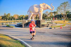 BIB: 
                            <button type="button" onclick="openModal(26186639)" class="btn btn-primary btn-sm float-right btn-popup" data-toggle="modal" data-target=".modal-high-quality">
                        <i class="fas fa-shopping-cart"></i> Add to Cart
                    </button>
                                            <button type="button" onclick="isThisMe(26186639, true)" class="btn btn-success btn-sm float-right btn-popup btn-isme hidden" data-toggle="tooltip" data-placement="bottom" title="นี่คือรูปของคุณใช่ไหม คลิกที่นี่เพื่อเอาเข้าอัลบั้ม">
                        <i class="fas fa-plus"></i> Add to album
                    </button>
                    <button type="button" onclick="isThisMe(26186639, false)" class="btn btn-warning btn-sm float-right btn-popup btn-isnotme hidden">
                        <i class="fas fa-ban"></i> Remove from album
                    </button>