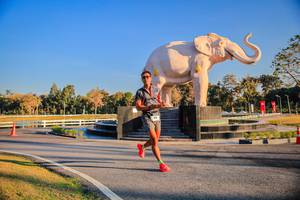 BIB: 
                            <button type="button" onclick="openModal(26186414)" class="btn btn-primary btn-sm float-right btn-popup" data-toggle="modal" data-target=".modal-high-quality">
                        <i class="fas fa-shopping-cart"></i> Add to Cart
                    </button>
                                            <button type="button" onclick="isThisMe(26186414, true)" class="btn btn-success btn-sm float-right btn-popup btn-isme hidden" data-toggle="tooltip" data-placement="bottom" title="นี่คือรูปของคุณใช่ไหม คลิกที่นี่เพื่อเอาเข้าอัลบั้ม">
                        <i class="fas fa-plus"></i> Add to album
                    </button>
                    <button type="button" onclick="isThisMe(26186414, false)" class="btn btn-warning btn-sm float-right btn-popup btn-isnotme hidden">
                        <i class="fas fa-ban"></i> Remove from album
                    </button>