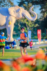 BIB: 
                            <button type="button" onclick="openModal(26183919)" class="btn btn-primary btn-sm float-right btn-popup" data-toggle="modal" data-target=".modal-high-quality">
                        <i class="fas fa-shopping-cart"></i> Add to Cart
                    </button>
                                            <button type="button" onclick="isThisMe(26183919, true)" class="btn btn-success btn-sm float-right btn-popup btn-isme hidden" data-toggle="tooltip" data-placement="bottom" title="นี่คือรูปของคุณใช่ไหม คลิกที่นี่เพื่อเอาเข้าอัลบั้ม">
                        <i class="fas fa-plus"></i> Add to album
                    </button>
                    <button type="button" onclick="isThisMe(26183919, false)" class="btn btn-warning btn-sm float-right btn-popup btn-isnotme hidden">
                        <i class="fas fa-ban"></i> Remove from album
                    </button>