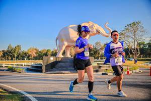 BIB: 
                            <button type="button" onclick="openModal(26186454)" class="btn btn-primary btn-sm float-right btn-popup" data-toggle="modal" data-target=".modal-high-quality">
                        <i class="fas fa-shopping-cart"></i> Add to Cart
                    </button>
                                            <button type="button" onclick="isThisMe(26186454, true)" class="btn btn-success btn-sm float-right btn-popup btn-isme hidden" data-toggle="tooltip" data-placement="bottom" title="นี่คือรูปของคุณใช่ไหม คลิกที่นี่เพื่อเอาเข้าอัลบั้ม">
                        <i class="fas fa-plus"></i> Add to album
                    </button>
                    <button type="button" onclick="isThisMe(26186454, false)" class="btn btn-warning btn-sm float-right btn-popup btn-isnotme hidden">
                        <i class="fas fa-ban"></i> Remove from album
                    </button>