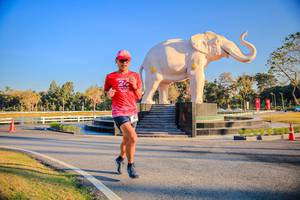 BIB: 
                            <button type="button" onclick="openModal(26186438)" class="btn btn-primary btn-sm float-right btn-popup" data-toggle="modal" data-target=".modal-high-quality">
                        <i class="fas fa-shopping-cart"></i> Add to Cart
                    </button>
                                            <button type="button" onclick="isThisMe(26186438, true)" class="btn btn-success btn-sm float-right btn-popup btn-isme hidden" data-toggle="tooltip" data-placement="bottom" title="นี่คือรูปของคุณใช่ไหม คลิกที่นี่เพื่อเอาเข้าอัลบั้ม">
                        <i class="fas fa-plus"></i> Add to album
                    </button>
                    <button type="button" onclick="isThisMe(26186438, false)" class="btn btn-warning btn-sm float-right btn-popup btn-isnotme hidden">
                        <i class="fas fa-ban"></i> Remove from album
                    </button>