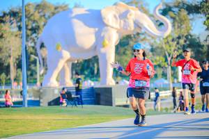 BIB: 
                            <button type="button" onclick="openModal(26183397)" class="btn btn-primary btn-sm float-right btn-popup" data-toggle="modal" data-target=".modal-high-quality">
                        <i class="fas fa-shopping-cart"></i> Add to Cart
                    </button>
                                            <button type="button" onclick="isThisMe(26183397, true)" class="btn btn-success btn-sm float-right btn-popup btn-isme hidden" data-toggle="tooltip" data-placement="bottom" title="นี่คือรูปของคุณใช่ไหม คลิกที่นี่เพื่อเอาเข้าอัลบั้ม">
                        <i class="fas fa-plus"></i> Add to album
                    </button>
                    <button type="button" onclick="isThisMe(26183397, false)" class="btn btn-warning btn-sm float-right btn-popup btn-isnotme hidden">
                        <i class="fas fa-ban"></i> Remove from album
                    </button>