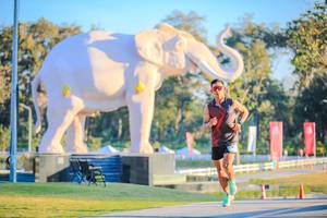 BIB: 
                            <button type="button" onclick="openModal(26183420)" class="btn btn-primary btn-sm float-right btn-popup" data-toggle="modal" data-target=".modal-high-quality">
                        <i class="fas fa-shopping-cart"></i> Add to Cart
                    </button>
                                            <button type="button" onclick="isThisMe(26183420, true)" class="btn btn-success btn-sm float-right btn-popup btn-isme hidden" data-toggle="tooltip" data-placement="bottom" title="นี่คือรูปของคุณใช่ไหม คลิกที่นี่เพื่อเอาเข้าอัลบั้ม">
                        <i class="fas fa-plus"></i> Add to album
                    </button>
                    <button type="button" onclick="isThisMe(26183420, false)" class="btn btn-warning btn-sm float-right btn-popup btn-isnotme hidden">
                        <i class="fas fa-ban"></i> Remove from album
                    </button>