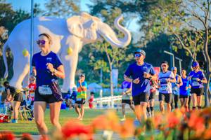 BIB: 
                            <button type="button" onclick="openModal(26184019)" class="btn btn-primary btn-sm float-right btn-popup" data-toggle="modal" data-target=".modal-high-quality">
                        <i class="fas fa-shopping-cart"></i> Add to Cart
                    </button>
                                            <button type="button" onclick="isThisMe(26184019, true)" class="btn btn-success btn-sm float-right btn-popup btn-isme hidden" data-toggle="tooltip" data-placement="bottom" title="นี่คือรูปของคุณใช่ไหม คลิกที่นี่เพื่อเอาเข้าอัลบั้ม">
                        <i class="fas fa-plus"></i> Add to album
                    </button>
                    <button type="button" onclick="isThisMe(26184019, false)" class="btn btn-warning btn-sm float-right btn-popup btn-isnotme hidden">
                        <i class="fas fa-ban"></i> Remove from album
                    </button>