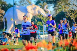 BIB: 
                            <button type="button" onclick="openModal(26184026)" class="btn btn-primary btn-sm float-right btn-popup" data-toggle="modal" data-target=".modal-high-quality">
                        <i class="fas fa-shopping-cart"></i> Add to Cart
                    </button>
                                            <button type="button" onclick="isThisMe(26184026, true)" class="btn btn-success btn-sm float-right btn-popup btn-isme hidden" data-toggle="tooltip" data-placement="bottom" title="นี่คือรูปของคุณใช่ไหม คลิกที่นี่เพื่อเอาเข้าอัลบั้ม">
                        <i class="fas fa-plus"></i> Add to album
                    </button>
                    <button type="button" onclick="isThisMe(26184026, false)" class="btn btn-warning btn-sm float-right btn-popup btn-isnotme hidden">
                        <i class="fas fa-ban"></i> Remove from album
                    </button>