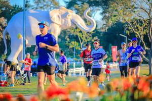 BIB: 
                            <button type="button" onclick="openModal(26184022)" class="btn btn-primary btn-sm float-right btn-popup" data-toggle="modal" data-target=".modal-high-quality">
                        <i class="fas fa-shopping-cart"></i> Add to Cart
                    </button>
                                            <button type="button" onclick="isThisMe(26184022, true)" class="btn btn-success btn-sm float-right btn-popup btn-isme hidden" data-toggle="tooltip" data-placement="bottom" title="นี่คือรูปของคุณใช่ไหม คลิกที่นี่เพื่อเอาเข้าอัลบั้ม">
                        <i class="fas fa-plus"></i> Add to album
                    </button>
                    <button type="button" onclick="isThisMe(26184022, false)" class="btn btn-warning btn-sm float-right btn-popup btn-isnotme hidden">
                        <i class="fas fa-ban"></i> Remove from album
                    </button>