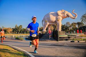 BIB: 
                            <button type="button" onclick="openModal(26186364)" class="btn btn-primary btn-sm float-right btn-popup" data-toggle="modal" data-target=".modal-high-quality">
                        <i class="fas fa-shopping-cart"></i> Add to Cart
                    </button>
                                            <button type="button" onclick="isThisMe(26186364, true)" class="btn btn-success btn-sm float-right btn-popup btn-isme hidden" data-toggle="tooltip" data-placement="bottom" title="นี่คือรูปของคุณใช่ไหม คลิกที่นี่เพื่อเอาเข้าอัลบั้ม">
                        <i class="fas fa-plus"></i> Add to album
                    </button>
                    <button type="button" onclick="isThisMe(26186364, false)" class="btn btn-warning btn-sm float-right btn-popup btn-isnotme hidden">
                        <i class="fas fa-ban"></i> Remove from album
                    </button>