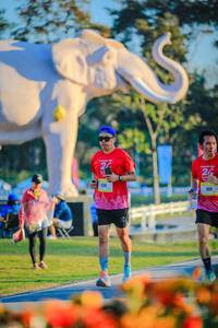 BIB: 
                            <button type="button" onclick="openModal(26183807)" class="btn btn-primary btn-sm float-right btn-popup" data-toggle="modal" data-target=".modal-high-quality">
                        <i class="fas fa-shopping-cart"></i> Add to Cart
                    </button>
                                            <button type="button" onclick="isThisMe(26183807, true)" class="btn btn-success btn-sm float-right btn-popup btn-isme hidden" data-toggle="tooltip" data-placement="bottom" title="นี่คือรูปของคุณใช่ไหม คลิกที่นี่เพื่อเอาเข้าอัลบั้ม">
                        <i class="fas fa-plus"></i> Add to album
                    </button>
                    <button type="button" onclick="isThisMe(26183807, false)" class="btn btn-warning btn-sm float-right btn-popup btn-isnotme hidden">
                        <i class="fas fa-ban"></i> Remove from album
                    </button>