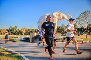 BIB: 
                            <button type="button" onclick="openModal(26186465)" class="btn btn-primary btn-sm float-right btn-popup" data-toggle="modal" data-target=".modal-high-quality">
                        <i class="fas fa-shopping-cart"></i> Add to Cart
                    </button>
                                            <button type="button" onclick="isThisMe(26186465, true)" class="btn btn-success btn-sm float-right btn-popup btn-isme hidden" data-toggle="tooltip" data-placement="bottom" title="นี่คือรูปของคุณใช่ไหม คลิกที่นี่เพื่อเอาเข้าอัลบั้ม">
                        <i class="fas fa-plus"></i> Add to album
                    </button>
                    <button type="button" onclick="isThisMe(26186465, false)" class="btn btn-warning btn-sm float-right btn-popup btn-isnotme hidden">
                        <i class="fas fa-ban"></i> Remove from album
                    </button>