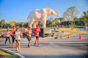 BIB: 
                            <button type="button" onclick="openModal(26186630)" class="btn btn-primary btn-sm float-right btn-popup" data-toggle="modal" data-target=".modal-high-quality">
                        <i class="fas fa-shopping-cart"></i> Add to Cart
                    </button>
                                            <button type="button" onclick="isThisMe(26186630, true)" class="btn btn-success btn-sm float-right btn-popup btn-isme hidden" data-toggle="tooltip" data-placement="bottom" title="นี่คือรูปของคุณใช่ไหม คลิกที่นี่เพื่อเอาเข้าอัลบั้ม">
                        <i class="fas fa-plus"></i> Add to album
                    </button>
                    <button type="button" onclick="isThisMe(26186630, false)" class="btn btn-warning btn-sm float-right btn-popup btn-isnotme hidden">
                        <i class="fas fa-ban"></i> Remove from album
                    </button>