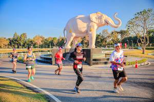 BIB: 
                            <button type="button" onclick="openModal(26186577)" class="btn btn-primary btn-sm float-right btn-popup" data-toggle="modal" data-target=".modal-high-quality">
                        <i class="fas fa-shopping-cart"></i> Add to Cart
                    </button>
                                            <button type="button" onclick="isThisMe(26186577, true)" class="btn btn-success btn-sm float-right btn-popup btn-isme hidden" data-toggle="tooltip" data-placement="bottom" title="นี่คือรูปของคุณใช่ไหม คลิกที่นี่เพื่อเอาเข้าอัลบั้ม">
                        <i class="fas fa-plus"></i> Add to album
                    </button>
                    <button type="button" onclick="isThisMe(26186577, false)" class="btn btn-warning btn-sm float-right btn-popup btn-isnotme hidden">
                        <i class="fas fa-ban"></i> Remove from album
                    </button>