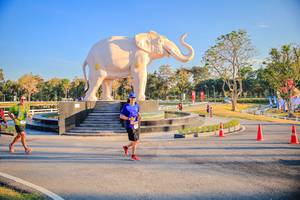 BIB: 
                            <button type="button" onclick="openModal(26186614)" class="btn btn-primary btn-sm float-right btn-popup" data-toggle="modal" data-target=".modal-high-quality">
                        <i class="fas fa-shopping-cart"></i> Add to Cart
                    </button>
                                            <button type="button" onclick="isThisMe(26186614, true)" class="btn btn-success btn-sm float-right btn-popup btn-isme hidden" data-toggle="tooltip" data-placement="bottom" title="นี่คือรูปของคุณใช่ไหม คลิกที่นี่เพื่อเอาเข้าอัลบั้ม">
                        <i class="fas fa-plus"></i> Add to album
                    </button>
                    <button type="button" onclick="isThisMe(26186614, false)" class="btn btn-warning btn-sm float-right btn-popup btn-isnotme hidden">
                        <i class="fas fa-ban"></i> Remove from album
                    </button>