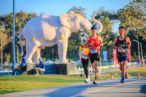 BIB: 
                            <button type="button" onclick="openModal(26183784)" class="btn btn-primary btn-sm float-right btn-popup" data-toggle="modal" data-target=".modal-high-quality">
                        <i class="fas fa-shopping-cart"></i> Add to Cart
                    </button>
                                            <button type="button" onclick="isThisMe(26183784, true)" class="btn btn-success btn-sm float-right btn-popup btn-isme hidden" data-toggle="tooltip" data-placement="bottom" title="นี่คือรูปของคุณใช่ไหม คลิกที่นี่เพื่อเอาเข้าอัลบั้ม">
                        <i class="fas fa-plus"></i> Add to album
                    </button>
                    <button type="button" onclick="isThisMe(26183784, false)" class="btn btn-warning btn-sm float-right btn-popup btn-isnotme hidden">
                        <i class="fas fa-ban"></i> Remove from album
                    </button>