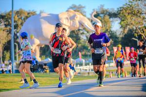 BIB: 
                            <button type="button" onclick="openModal(26183638)" class="btn btn-primary btn-sm float-right btn-popup" data-toggle="modal" data-target=".modal-high-quality">
                        <i class="fas fa-shopping-cart"></i> Add to Cart
                    </button>
                                            <button type="button" onclick="isThisMe(26183638, true)" class="btn btn-success btn-sm float-right btn-popup btn-isme hidden" data-toggle="tooltip" data-placement="bottom" title="นี่คือรูปของคุณใช่ไหม คลิกที่นี่เพื่อเอาเข้าอัลบั้ม">
                        <i class="fas fa-plus"></i> Add to album
                    </button>
                    <button type="button" onclick="isThisMe(26183638, false)" class="btn btn-warning btn-sm float-right btn-popup btn-isnotme hidden">
                        <i class="fas fa-ban"></i> Remove from album
                    </button>