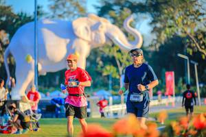 BIB: 
                            <button type="button" onclick="openModal(26183991)" class="btn btn-primary btn-sm float-right btn-popup" data-toggle="modal" data-target=".modal-high-quality">
                        <i class="fas fa-shopping-cart"></i> Add to Cart
                    </button>
                                            <button type="button" onclick="isThisMe(26183991, true)" class="btn btn-success btn-sm float-right btn-popup btn-isme hidden" data-toggle="tooltip" data-placement="bottom" title="นี่คือรูปของคุณใช่ไหม คลิกที่นี่เพื่อเอาเข้าอัลบั้ม">
                        <i class="fas fa-plus"></i> Add to album
                    </button>
                    <button type="button" onclick="isThisMe(26183991, false)" class="btn btn-warning btn-sm float-right btn-popup btn-isnotme hidden">
                        <i class="fas fa-ban"></i> Remove from album
                    </button>