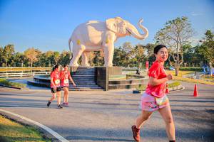 BIB: 
                            <button type="button" onclick="openModal(26186673)" class="btn btn-primary btn-sm float-right btn-popup" data-toggle="modal" data-target=".modal-high-quality">
                        <i class="fas fa-shopping-cart"></i> Add to Cart
                    </button>
                                            <button type="button" onclick="isThisMe(26186673, true)" class="btn btn-success btn-sm float-right btn-popup btn-isme hidden" data-toggle="tooltip" data-placement="bottom" title="นี่คือรูปของคุณใช่ไหม คลิกที่นี่เพื่อเอาเข้าอัลบั้ม">
                        <i class="fas fa-plus"></i> Add to album
                    </button>
                    <button type="button" onclick="isThisMe(26186673, false)" class="btn btn-warning btn-sm float-right btn-popup btn-isnotme hidden">
                        <i class="fas fa-ban"></i> Remove from album
                    </button>