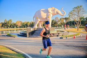 BIB: 
                            <button type="button" onclick="openModal(26186648)" class="btn btn-primary btn-sm float-right btn-popup" data-toggle="modal" data-target=".modal-high-quality">
                        <i class="fas fa-shopping-cart"></i> Add to Cart
                    </button>
                                            <button type="button" onclick="isThisMe(26186648, true)" class="btn btn-success btn-sm float-right btn-popup btn-isme hidden" data-toggle="tooltip" data-placement="bottom" title="นี่คือรูปของคุณใช่ไหม คลิกที่นี่เพื่อเอาเข้าอัลบั้ม">
                        <i class="fas fa-plus"></i> Add to album
                    </button>
                    <button type="button" onclick="isThisMe(26186648, false)" class="btn btn-warning btn-sm float-right btn-popup btn-isnotme hidden">
                        <i class="fas fa-ban"></i> Remove from album
                    </button>