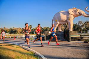 BIB: 
                            <button type="button" onclick="openModal(26186370)" class="btn btn-primary btn-sm float-right btn-popup" data-toggle="modal" data-target=".modal-high-quality">
                        <i class="fas fa-shopping-cart"></i> Add to Cart
                    </button>
                                            <button type="button" onclick="isThisMe(26186370, true)" class="btn btn-success btn-sm float-right btn-popup btn-isme hidden" data-toggle="tooltip" data-placement="bottom" title="นี่คือรูปของคุณใช่ไหม คลิกที่นี่เพื่อเอาเข้าอัลบั้ม">
                        <i class="fas fa-plus"></i> Add to album
                    </button>
                    <button type="button" onclick="isThisMe(26186370, false)" class="btn btn-warning btn-sm float-right btn-popup btn-isnotme hidden">
                        <i class="fas fa-ban"></i> Remove from album
                    </button>