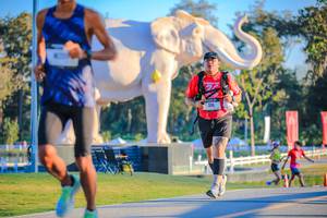 BIB: 
                            <button type="button" onclick="openModal(26183560)" class="btn btn-primary btn-sm float-right btn-popup" data-toggle="modal" data-target=".modal-high-quality">
                        <i class="fas fa-shopping-cart"></i> Add to Cart
                    </button>
                                            <button type="button" onclick="isThisMe(26183560, true)" class="btn btn-success btn-sm float-right btn-popup btn-isme hidden" data-toggle="tooltip" data-placement="bottom" title="นี่คือรูปของคุณใช่ไหม คลิกที่นี่เพื่อเอาเข้าอัลบั้ม">
                        <i class="fas fa-plus"></i> Add to album
                    </button>
                    <button type="button" onclick="isThisMe(26183560, false)" class="btn btn-warning btn-sm float-right btn-popup btn-isnotme hidden">
                        <i class="fas fa-ban"></i> Remove from album
                    </button>