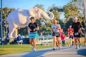 BIB: 
                            <button type="button" onclick="openModal(26183754)" class="btn btn-primary btn-sm float-right btn-popup" data-toggle="modal" data-target=".modal-high-quality">
                        <i class="fas fa-shopping-cart"></i> Add to Cart
                    </button>
                                            <button type="button" onclick="isThisMe(26183754, true)" class="btn btn-success btn-sm float-right btn-popup btn-isme hidden" data-toggle="tooltip" data-placement="bottom" title="นี่คือรูปของคุณใช่ไหม คลิกที่นี่เพื่อเอาเข้าอัลบั้ม">
                        <i class="fas fa-plus"></i> Add to album
                    </button>
                    <button type="button" onclick="isThisMe(26183754, false)" class="btn btn-warning btn-sm float-right btn-popup btn-isnotme hidden">
                        <i class="fas fa-ban"></i> Remove from album
                    </button>