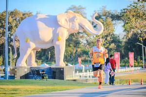 BIB: 
                            <button type="button" onclick="openModal(26183457)" class="btn btn-primary btn-sm float-right btn-popup" data-toggle="modal" data-target=".modal-high-quality">
                        <i class="fas fa-shopping-cart"></i> Add to Cart
                    </button>
                                            <button type="button" onclick="isThisMe(26183457, true)" class="btn btn-success btn-sm float-right btn-popup btn-isme hidden" data-toggle="tooltip" data-placement="bottom" title="นี่คือรูปของคุณใช่ไหม คลิกที่นี่เพื่อเอาเข้าอัลบั้ม">
                        <i class="fas fa-plus"></i> Add to album
                    </button>
                    <button type="button" onclick="isThisMe(26183457, false)" class="btn btn-warning btn-sm float-right btn-popup btn-isnotme hidden">
                        <i class="fas fa-ban"></i> Remove from album
                    </button>