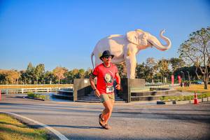 BIB: 
                            <button type="button" onclick="openModal(26186458)" class="btn btn-primary btn-sm float-right btn-popup" data-toggle="modal" data-target=".modal-high-quality">
                        <i class="fas fa-shopping-cart"></i> Add to Cart
                    </button>
                                            <button type="button" onclick="isThisMe(26186458, true)" class="btn btn-success btn-sm float-right btn-popup btn-isme hidden" data-toggle="tooltip" data-placement="bottom" title="นี่คือรูปของคุณใช่ไหม คลิกที่นี่เพื่อเอาเข้าอัลบั้ม">
                        <i class="fas fa-plus"></i> Add to album
                    </button>
                    <button type="button" onclick="isThisMe(26186458, false)" class="btn btn-warning btn-sm float-right btn-popup btn-isnotme hidden">
                        <i class="fas fa-ban"></i> Remove from album
                    </button>