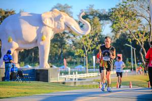 BIB: 
                            <button type="button" onclick="openModal(26183691)" class="btn btn-primary btn-sm float-right btn-popup" data-toggle="modal" data-target=".modal-high-quality">
                        <i class="fas fa-shopping-cart"></i> Add to Cart
                    </button>
                                            <button type="button" onclick="isThisMe(26183691, true)" class="btn btn-success btn-sm float-right btn-popup btn-isme hidden" data-toggle="tooltip" data-placement="bottom" title="นี่คือรูปของคุณใช่ไหม คลิกที่นี่เพื่อเอาเข้าอัลบั้ม">
                        <i class="fas fa-plus"></i> Add to album
                    </button>
                    <button type="button" onclick="isThisMe(26183691, false)" class="btn btn-warning btn-sm float-right btn-popup btn-isnotme hidden">
                        <i class="fas fa-ban"></i> Remove from album
                    </button>