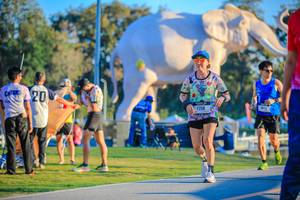 BIB: 
                            <button type="button" onclick="openModal(26183654)" class="btn btn-primary btn-sm float-right btn-popup" data-toggle="modal" data-target=".modal-high-quality">
                        <i class="fas fa-shopping-cart"></i> Add to Cart
                    </button>
                                            <button type="button" onclick="isThisMe(26183654, true)" class="btn btn-success btn-sm float-right btn-popup btn-isme hidden" data-toggle="tooltip" data-placement="bottom" title="นี่คือรูปของคุณใช่ไหม คลิกที่นี่เพื่อเอาเข้าอัลบั้ม">
                        <i class="fas fa-plus"></i> Add to album
                    </button>
                    <button type="button" onclick="isThisMe(26183654, false)" class="btn btn-warning btn-sm float-right btn-popup btn-isnotme hidden">
                        <i class="fas fa-ban"></i> Remove from album
                    </button>