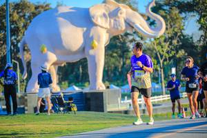 BIB: 
                            <button type="button" onclick="openModal(26183615)" class="btn btn-primary btn-sm float-right btn-popup" data-toggle="modal" data-target=".modal-high-quality">
                        <i class="fas fa-shopping-cart"></i> Add to Cart
                    </button>
                                            <button type="button" onclick="isThisMe(26183615, true)" class="btn btn-success btn-sm float-right btn-popup btn-isme hidden" data-toggle="tooltip" data-placement="bottom" title="นี่คือรูปของคุณใช่ไหม คลิกที่นี่เพื่อเอาเข้าอัลบั้ม">
                        <i class="fas fa-plus"></i> Add to album
                    </button>
                    <button type="button" onclick="isThisMe(26183615, false)" class="btn btn-warning btn-sm float-right btn-popup btn-isnotme hidden">
                        <i class="fas fa-ban"></i> Remove from album
                    </button>