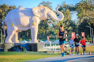 BIB: 
                            <button type="button" onclick="openModal(26183519)" class="btn btn-primary btn-sm float-right btn-popup" data-toggle="modal" data-target=".modal-high-quality">
                        <i class="fas fa-shopping-cart"></i> Add to Cart
                    </button>
                                            <button type="button" onclick="isThisMe(26183519, true)" class="btn btn-success btn-sm float-right btn-popup btn-isme hidden" data-toggle="tooltip" data-placement="bottom" title="นี่คือรูปของคุณใช่ไหม คลิกที่นี่เพื่อเอาเข้าอัลบั้ม">
                        <i class="fas fa-plus"></i> Add to album
                    </button>
                    <button type="button" onclick="isThisMe(26183519, false)" class="btn btn-warning btn-sm float-right btn-popup btn-isnotme hidden">
                        <i class="fas fa-ban"></i> Remove from album
                    </button>