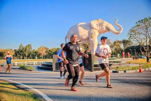 BIB: 
                            <button type="button" onclick="openModal(26186464)" class="btn btn-primary btn-sm float-right btn-popup" data-toggle="modal" data-target=".modal-high-quality">
                        <i class="fas fa-shopping-cart"></i> Add to Cart
                    </button>
                                            <button type="button" onclick="isThisMe(26186464, true)" class="btn btn-success btn-sm float-right btn-popup btn-isme hidden" data-toggle="tooltip" data-placement="bottom" title="นี่คือรูปของคุณใช่ไหม คลิกที่นี่เพื่อเอาเข้าอัลบั้ม">
                        <i class="fas fa-plus"></i> Add to album
                    </button>
                    <button type="button" onclick="isThisMe(26186464, false)" class="btn btn-warning btn-sm float-right btn-popup btn-isnotme hidden">
                        <i class="fas fa-ban"></i> Remove from album
                    </button>